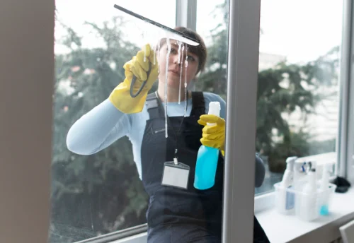 Nettoyage de vitres intérieures et extérieures à Thônes